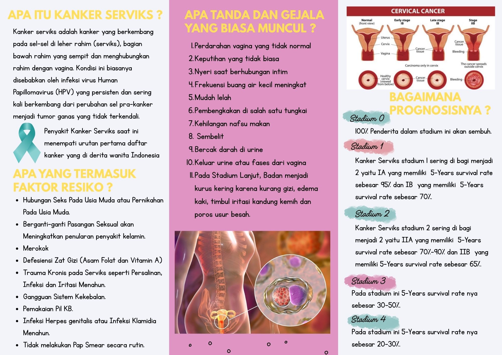 Kanker serviks 2